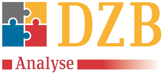 DZB Analyse